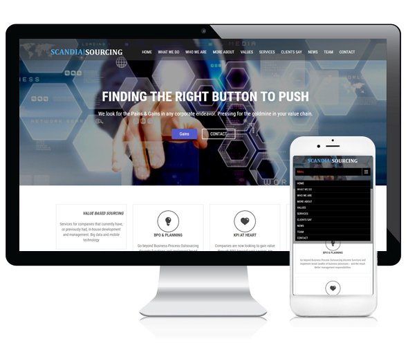 strony internetowe w WordPress/ WooCommerce 